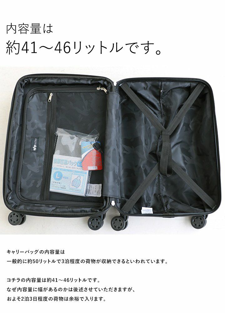 アルファインダストリーズ　バック　キャリーバック　62L タグつき新品未使用 arf002-mainn.jpg